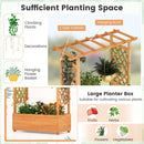 Raised Garden Bed with Arch Trellis-Orange by LJGDeals