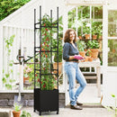 Raised Garden Bed with Obelisk Trellis and 3 Heights & Detachable PE-Coated Metal Tubes-Black by LJGDeals