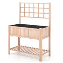 Raised Garden Bed Elevated Wooden Planter Box with Trellis