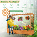 Raised Garden Bed Planter Box with Lattice Trellis Drainage Holes by LJGDeals