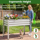 Raised Garden Bed Set of 2 Electro-Coating Metal Large Elevated Planter Box by LJGDeals