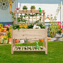 Wooden Raised Garden Bed with Wheels Trellis and Storage Shelf by LJGDeals