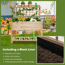 Wooden Raised Garden Bed with Wheels Trellis and Storage Shelf by DirectDeals