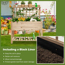 Wooden Raised Garden Bed with Wheels Trellis and Storage Shelf by LJGDeals