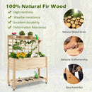 Wooden Raised Garden Bed with Wheels Trellis and Storage Shelf by LJGDeals