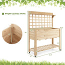 Wooden Raised Garden Bed with Wheels Trellis and Storage Shelf by LJGDeals