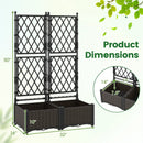 Raised Garden Bed with Lattice Trellis Drainage Self-Watering Elevated Vertical Planter Boxes-Black by LJGDeals