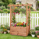 Raised Garden Bed with Lattice Trellises with Hanging Roof Set of 2 by LJGDeals