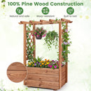 Raised Garden Bed with Lattice Trellises with Hanging Roof Set of 2 by LJGDeals