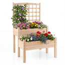 2-Tier Raised Garden Bed with Trellis for Climbing Plants by LJGDeals