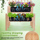 2-Tier Raised Garden Bed with Trellis for Climbing Plants by LJGDeals