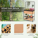 Raised Garden Bed with Trellis 2-tier Storage Shelves-Natural by LJGDeals
