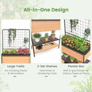 Raised Garden Bed with Trellis 2-tier Storage Shelves-Natural by LJGDeals
