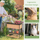 Raised Garden Bed with Trellis 2-tier Storage Shelves-Natural by LJGDeals