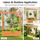 Raised Garden Bed with Trellis or Climbing Plant and Pot Hanging-Natural by LJGDeals