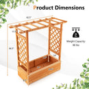 Raised Garden Bed with Trellis or Climbing Plant and Pot Hanging-Natural by LJGDeals