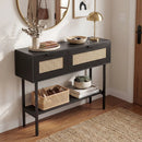 Rattan Console Table with 2 Storage Cabinets Shelf Carbon Steel Frame by LJGDeals