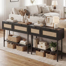 Rattan Console Table with 2 Storage Cabinets Shelf Carbon Steel Frame by LJGDeals