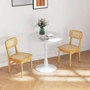 Set of 2 Rattan Dining Chairs with Simulated Rattan Backrest-Natural by LJGDeals