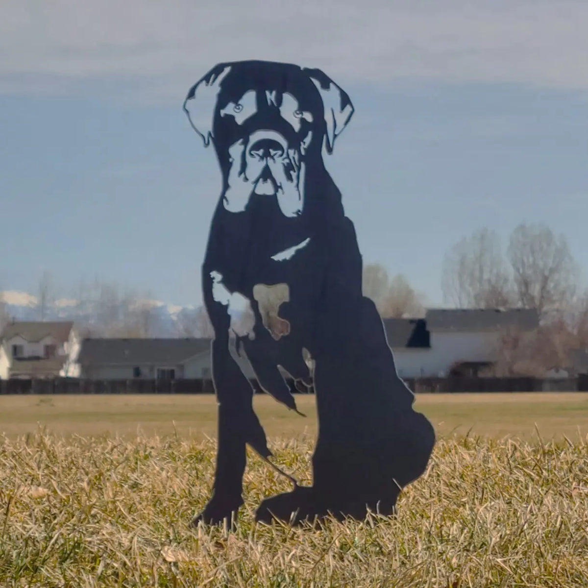 Mastiff, photo 6 of 13