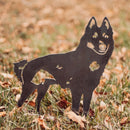 Schipperke