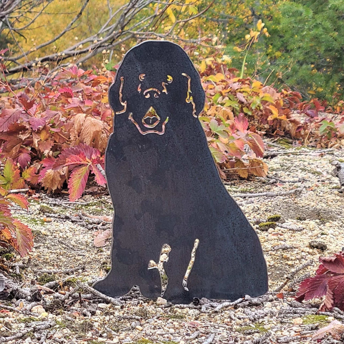 Newfoundland, photo 8 of 17