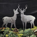 Deer - Buck