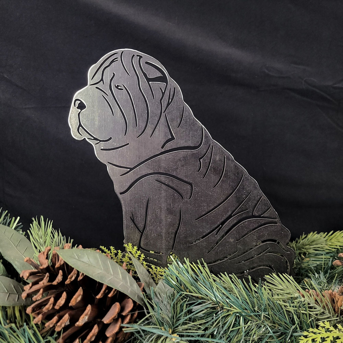 Shar Pei, photo 7 of 13