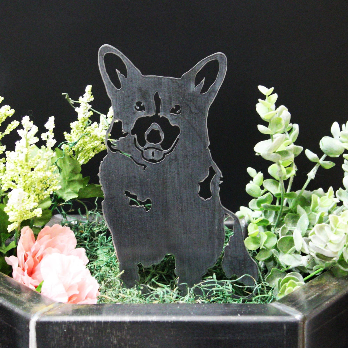 Corgi, photo 7 of 15