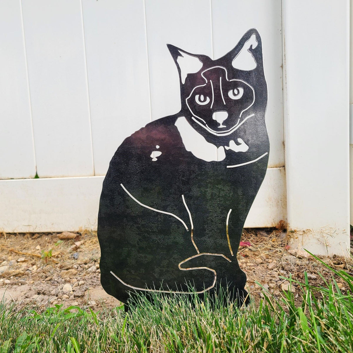 Birman, photo 11 of 21