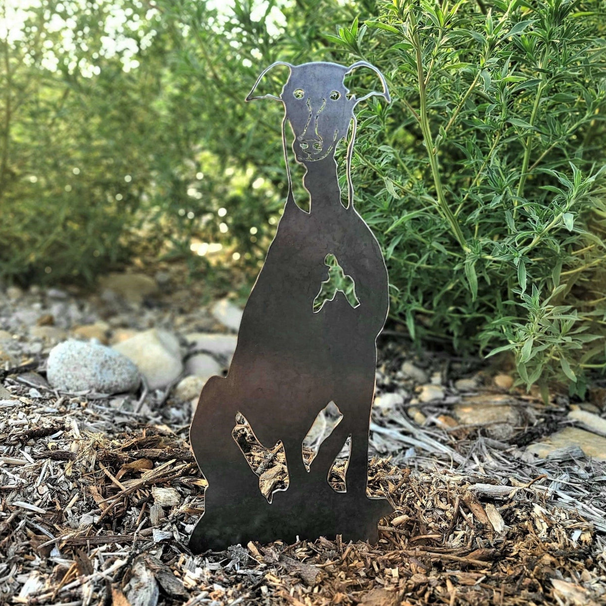 Greyhound, photo 7 of 14