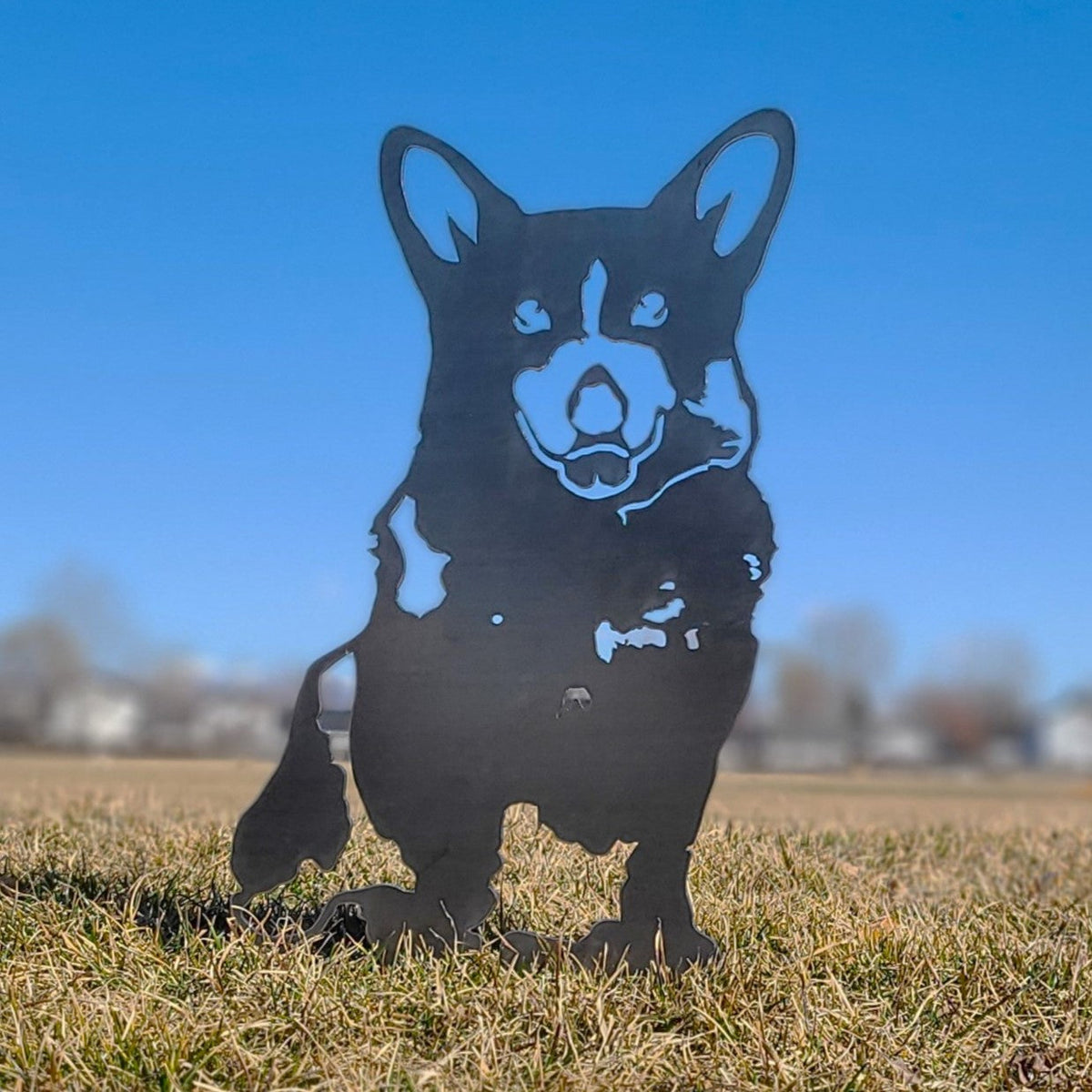 Corgi, photo 8 of 15