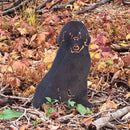Newfoundland