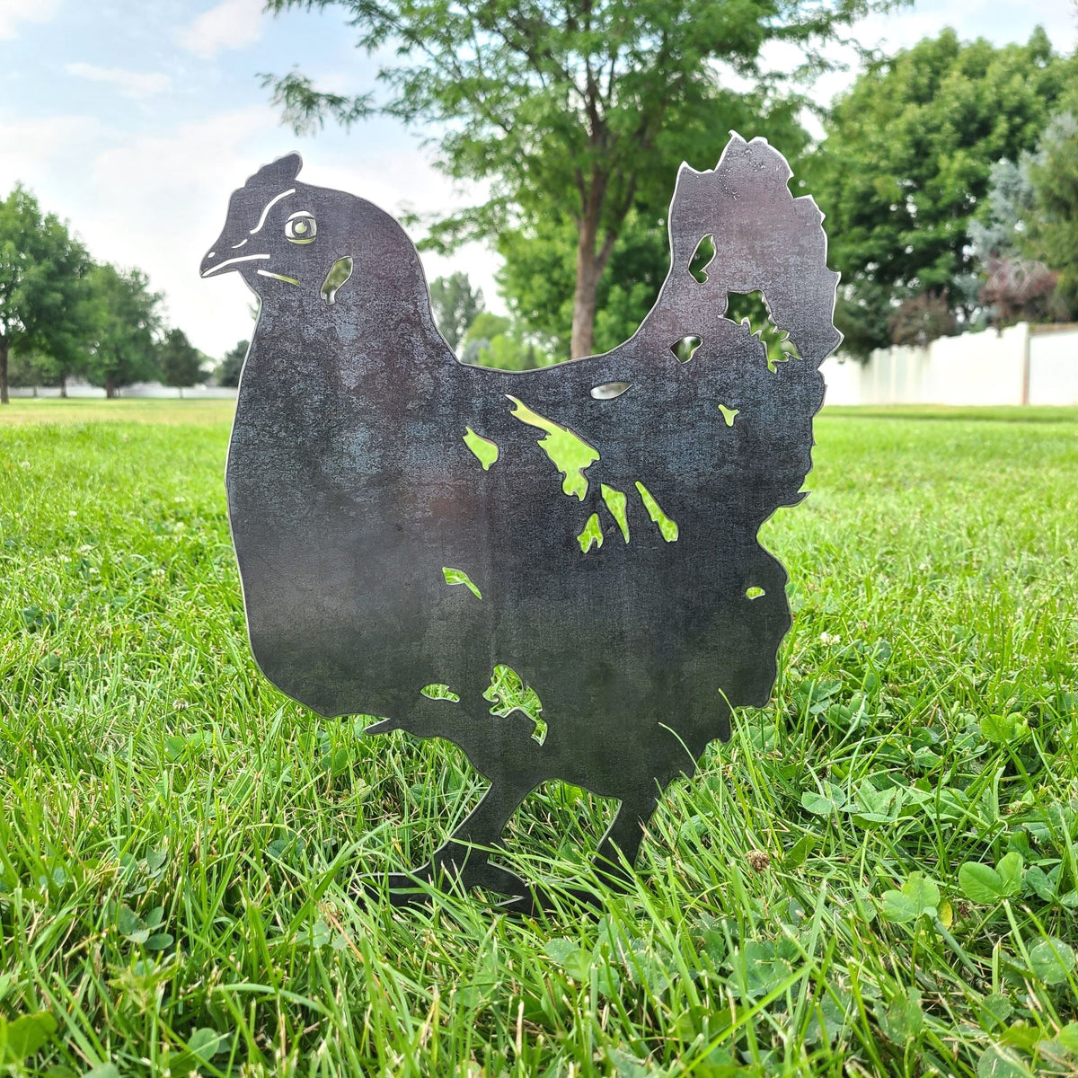 Chicken, photo 9 of 16