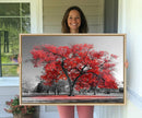 Red Autumn Tree Canvas Wall Art Print Autumn Art Black and by MyGreatCanvas | Canvas Wall Art Prints | Photo Prints & Wall Decor