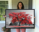 Red Autumn Tree Canvas Wall Art Print Autumn Art Black and by MyGreatCanvas | Canvas Wall Art Prints | Photo Prints & Wall Decor