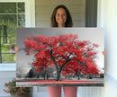 Red Autumn Tree Canvas Wall Art Print Autumn Art Black and by MyGreatCanvas | Canvas Wall Art Prints | Photo Prints & Wall Decor