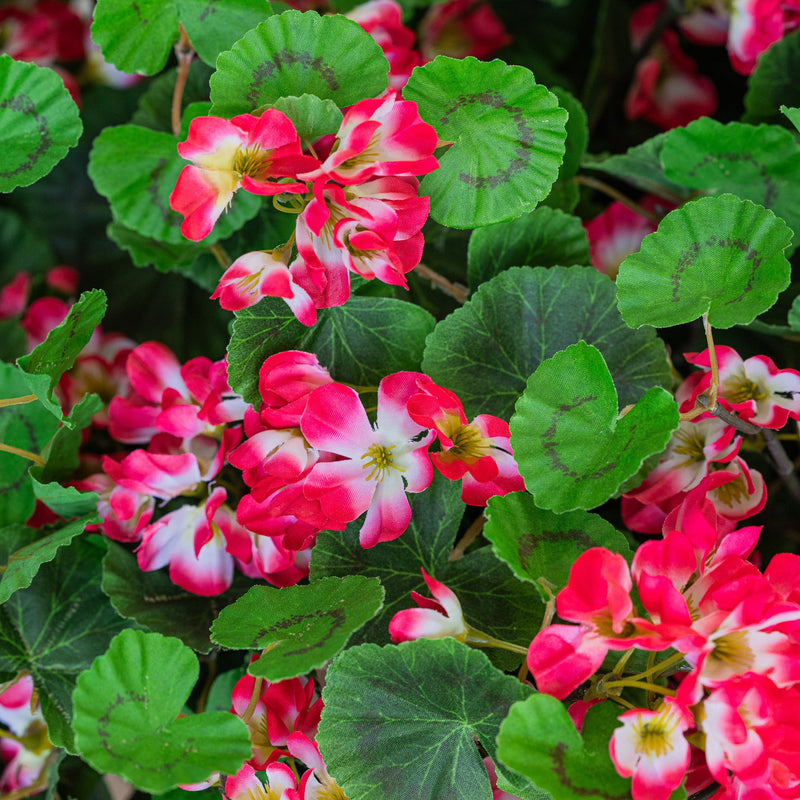 Lifelike Geranium Hanging Basket