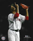 Pedro Martinez Sky Point 2004 World Series Boston Red Sox 8" x 10" Baseball Photo by Dynasty Sports & Framing