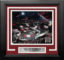 Detroit Red Wings Joe Louis Arena 2009 Stanley Cup Finals 8" x 10" Framed Hockey Stadium Photo by Dynasty Sports & Framing
