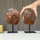 Red Jasper Slice on Stand SET, 7 in Tall Crystals in metallic base, Unique home decoration, rare finds mineral formations