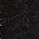 MSI Marquina Noir Porcelain Wall and Floor Tile - Regallo Collection