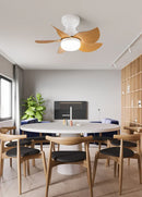 Remo Nordic Ceiling Fan Light