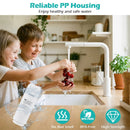 Replacement PCT Filter for AW-RB20/AW-RB05 Under-Sink Reverse Osmosis System by LJGDeals