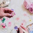 Purple Dried Flowers