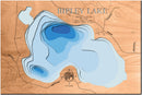 Ripley (Washburn)