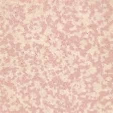 Rose Mottle Porcelain 50x50 Square Foot