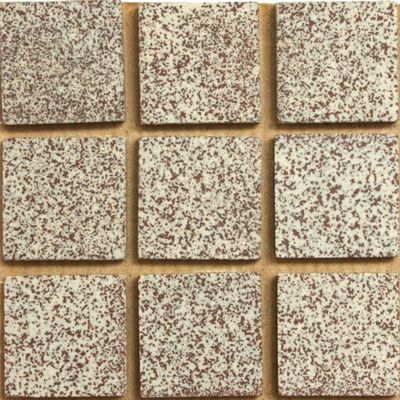 Rouge Mottle Porcelain 20x20 Square Foot