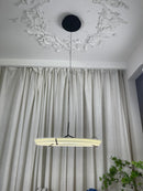 Round Vielle Acrylic Pendant Lamp