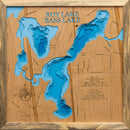 Roy (Crow Wing)